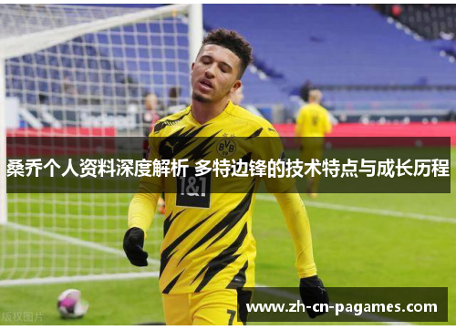 桑乔个人资料深度解析 多特边锋的技术特点与成长历程