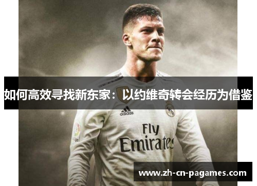 如何高效寻找新东家：以约维奇转会经历为借鉴