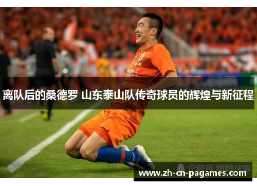 离队后的桑德罗 山东泰山队传奇球员的辉煌与新征程