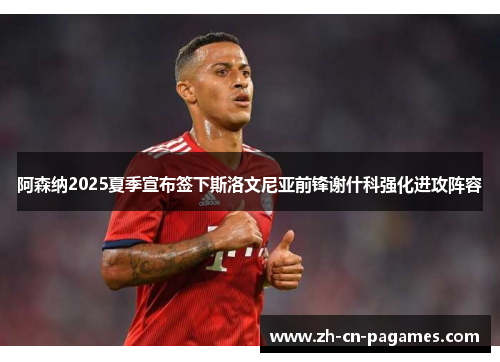 阿森纳2025夏季宣布签下斯洛文尼亚前锋谢什科强化进攻阵容