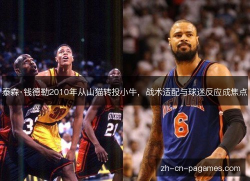 泰森·钱德勒2010年从山猫转投小牛，战术适配与球迷反应成焦点